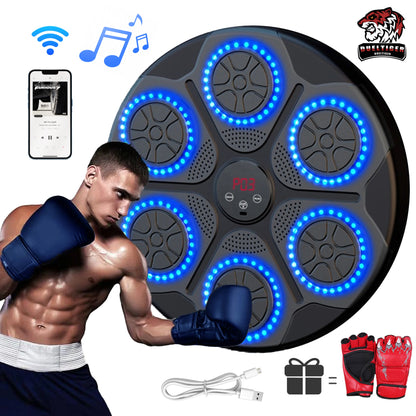 Music Boxing Trainer